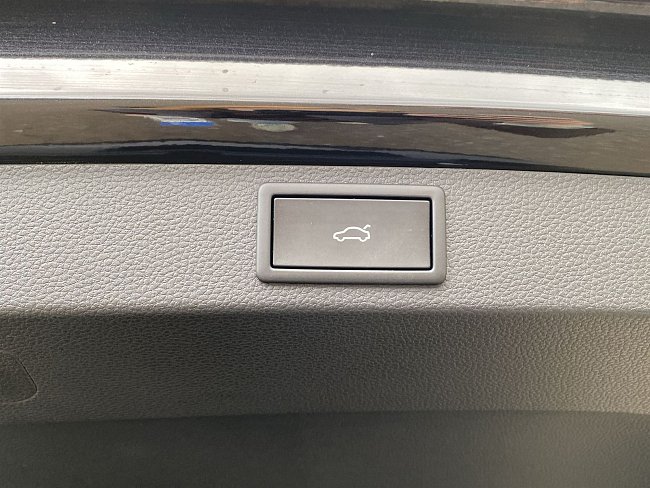 20199654.jpg