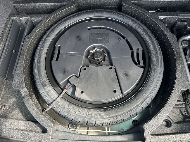 20199459.jpg