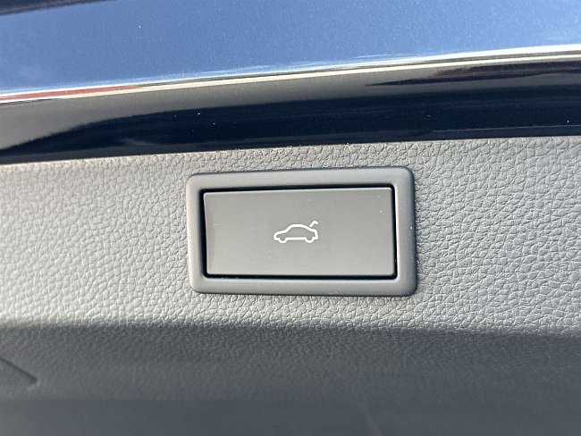 20199463.jpg