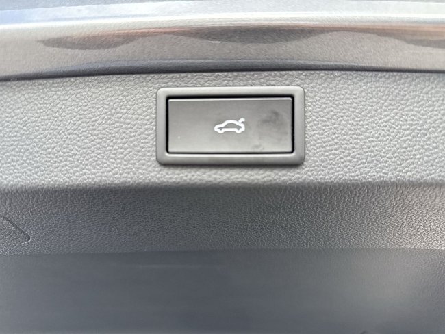 20199488.jpg