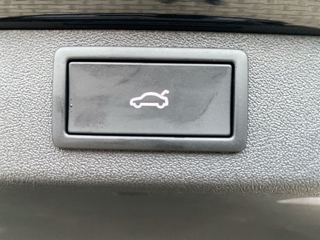 20199739.jpg