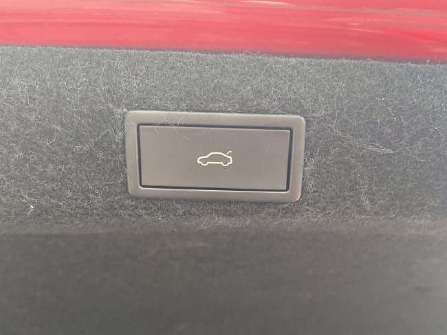 20199752.jpg