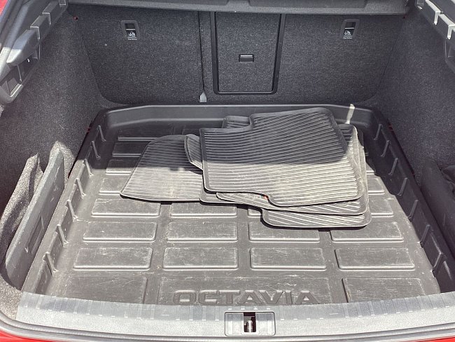 20199795.jpg