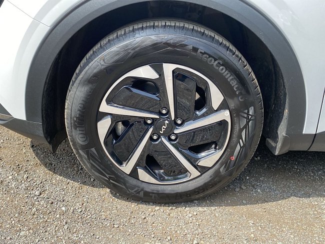 20199975.jpg