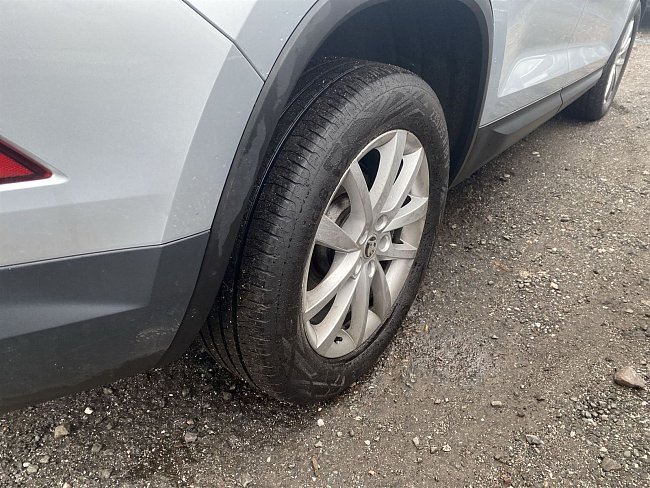 20197591.jpg