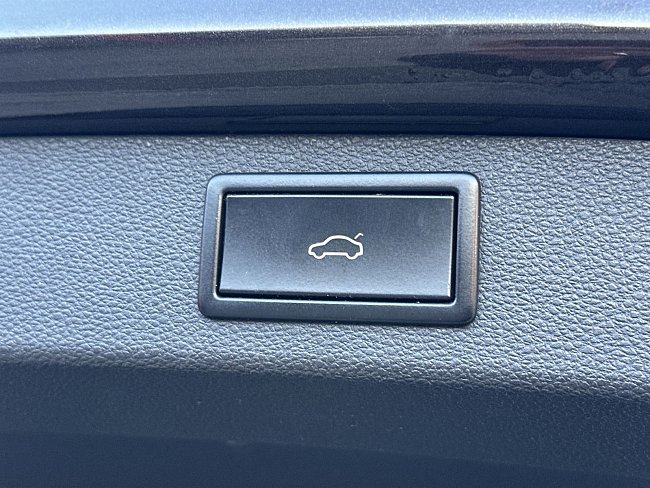 20197436.jpg