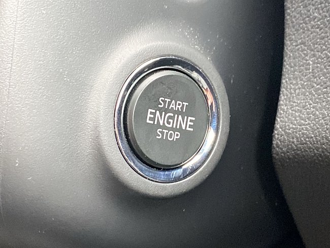 20197377.jpg