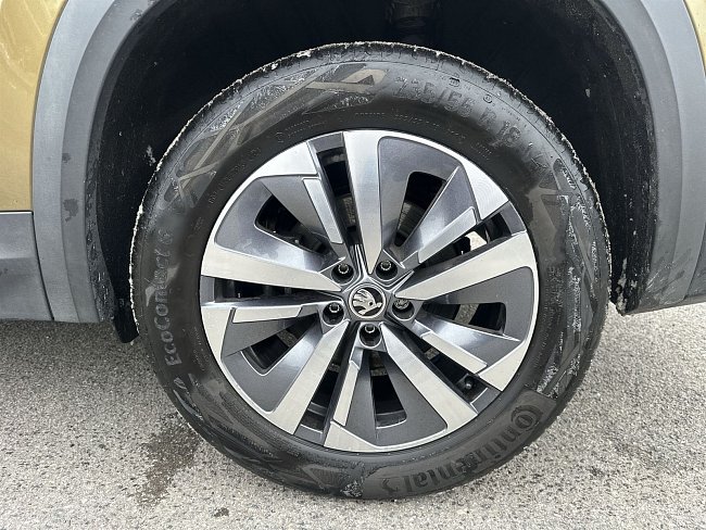 20197790.jpg