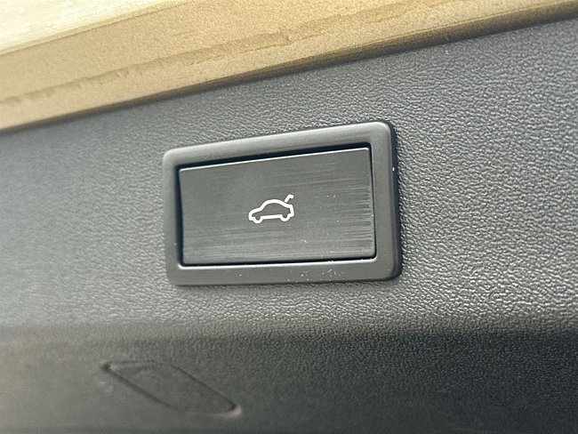 20197797.jpg