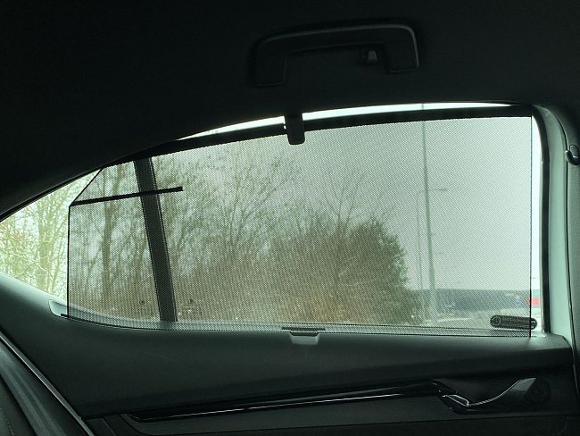 20197712.jpg