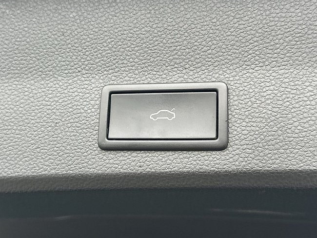20197724.jpg