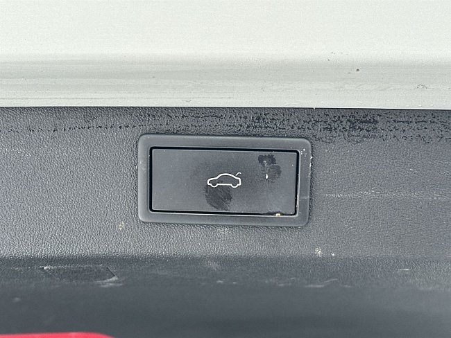 20198067.jpg