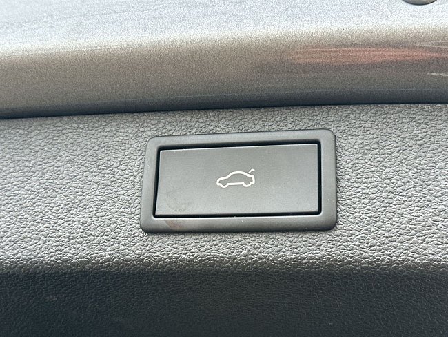 20197929.jpg