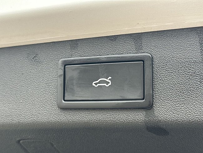 20197966.jpg
