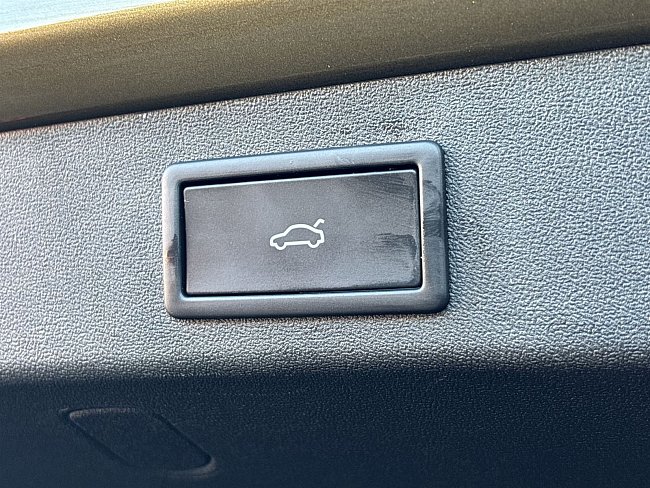 20198007.jpg