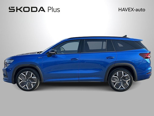 20198006.jpg