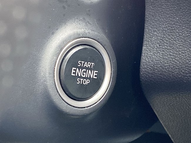 20198199.jpg