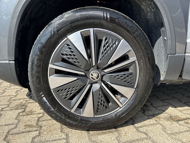 20198260.jpg