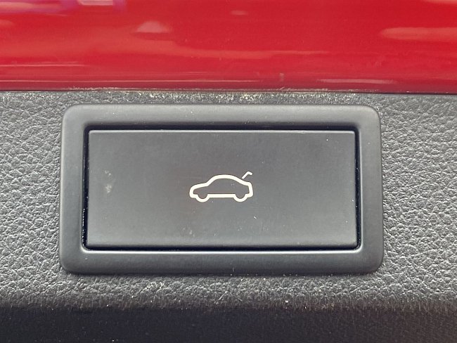 20198619.jpg