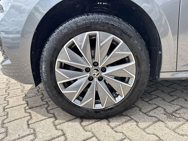 20198498.jpg