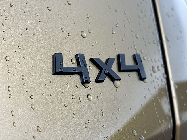 20198850.jpg