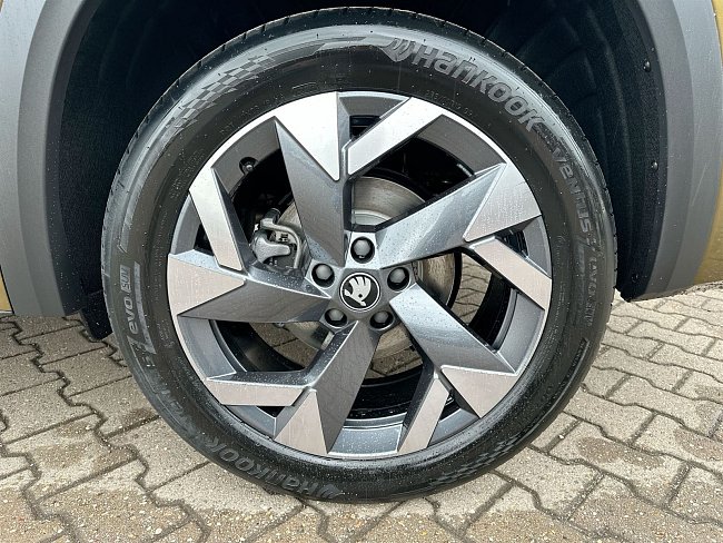 20198855.jpg