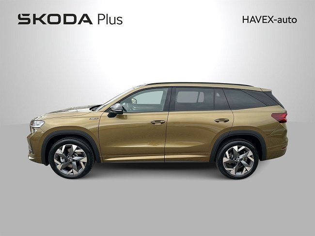 20198880.jpg