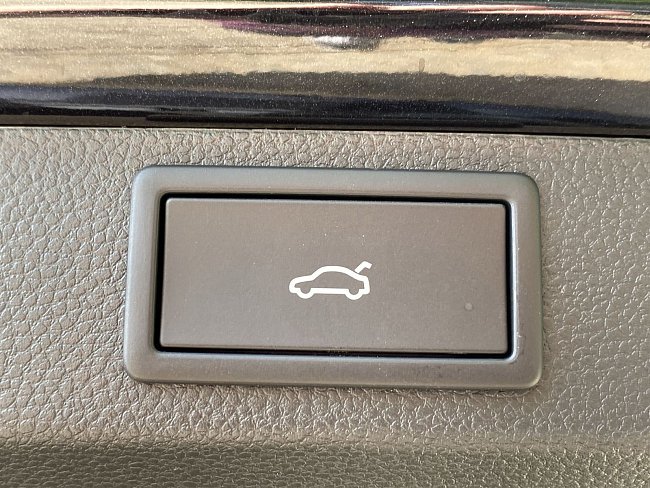 20198856.jpg