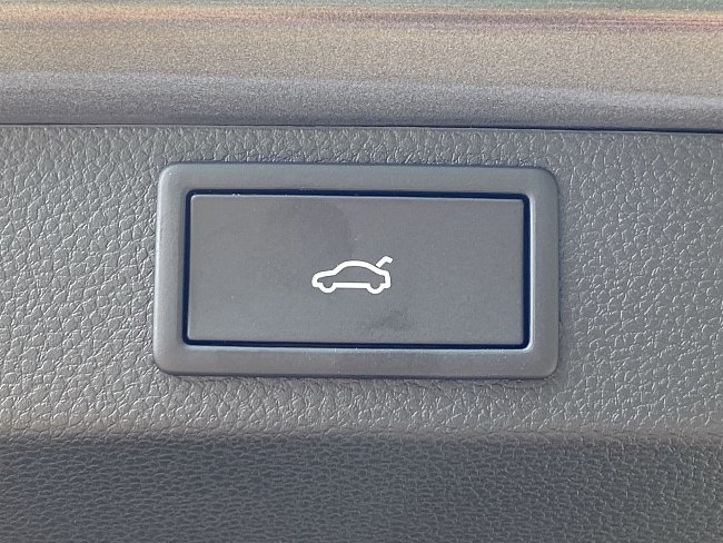 20198897.jpg