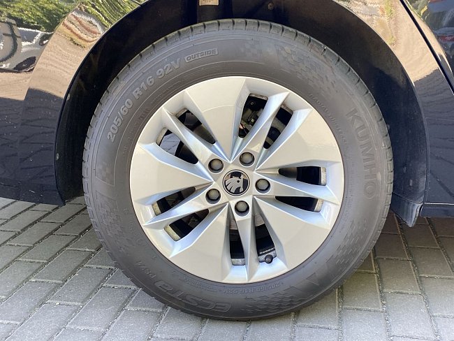 20198666.jpg