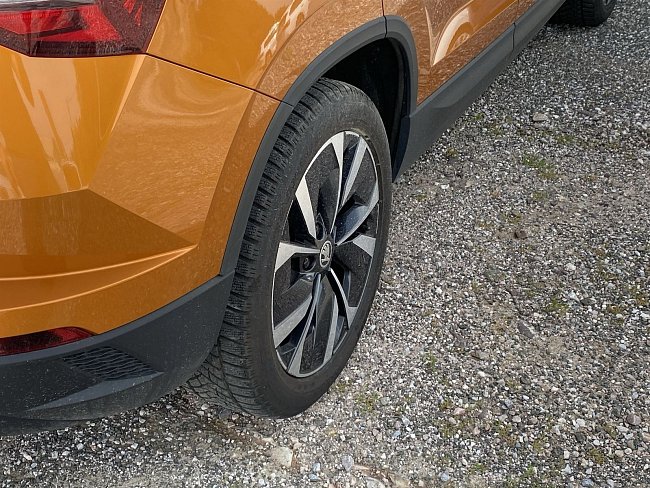 20198695.jpg