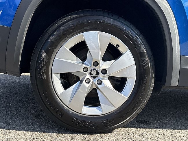 20198773.jpg