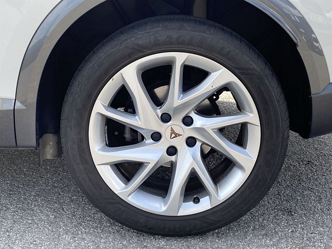 20198751.jpg