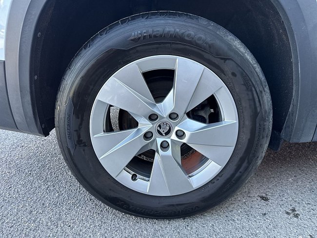 20198734.jpg