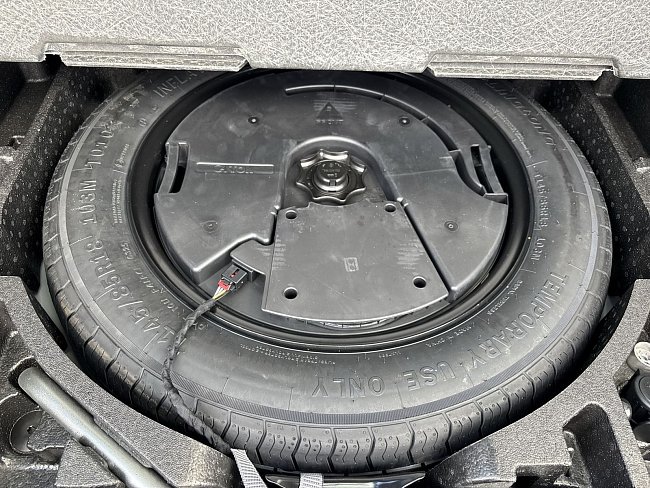 20199161.jpg