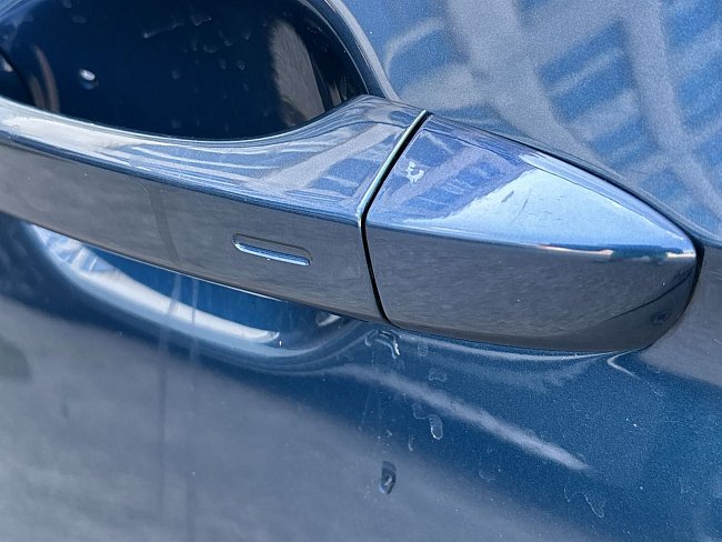 20198956.jpg