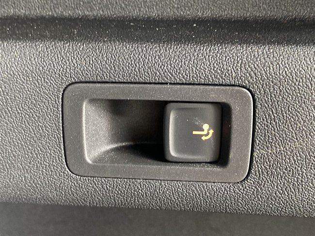 20198979.jpg