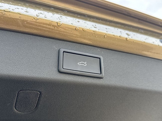 20199039.jpg
