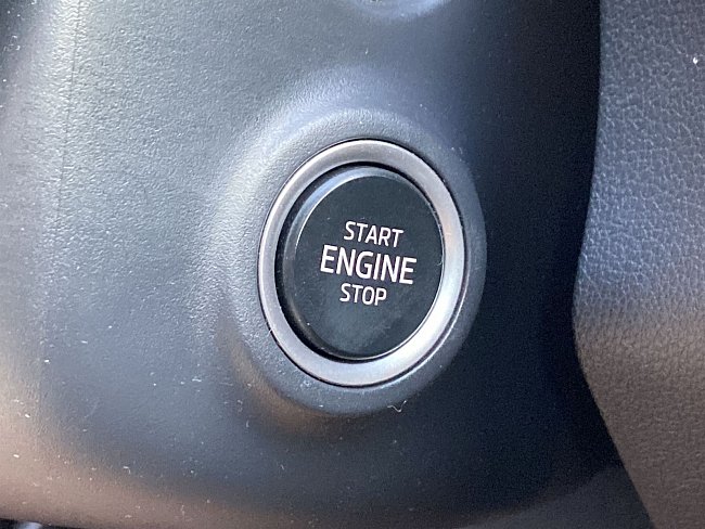 20199356.jpg