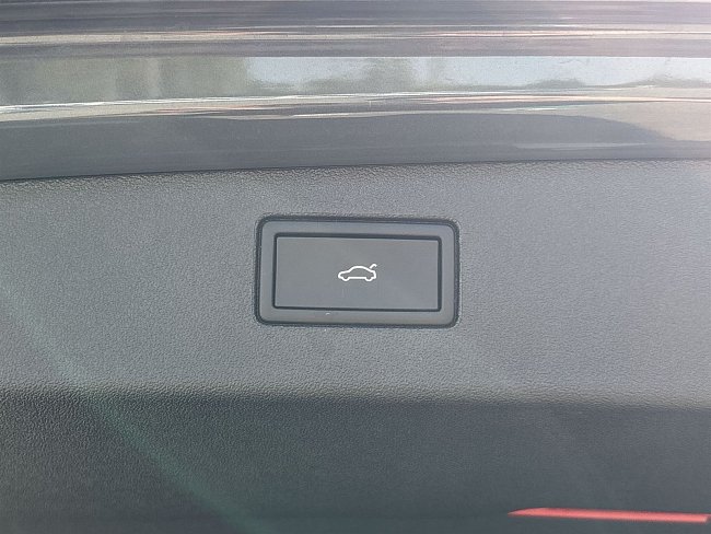 20199357.jpg