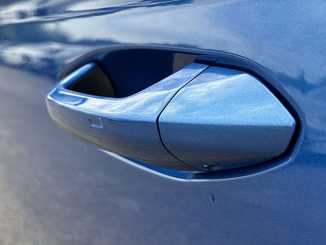 20199300.jpg