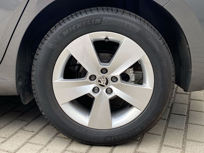 20199365.jpg