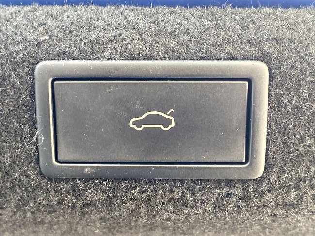 20199362.jpg