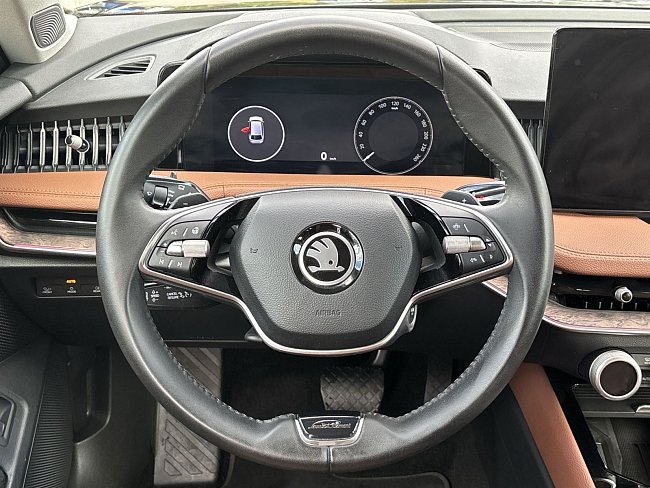 20199380.jpg