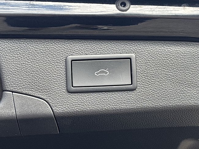 20199390.jpg