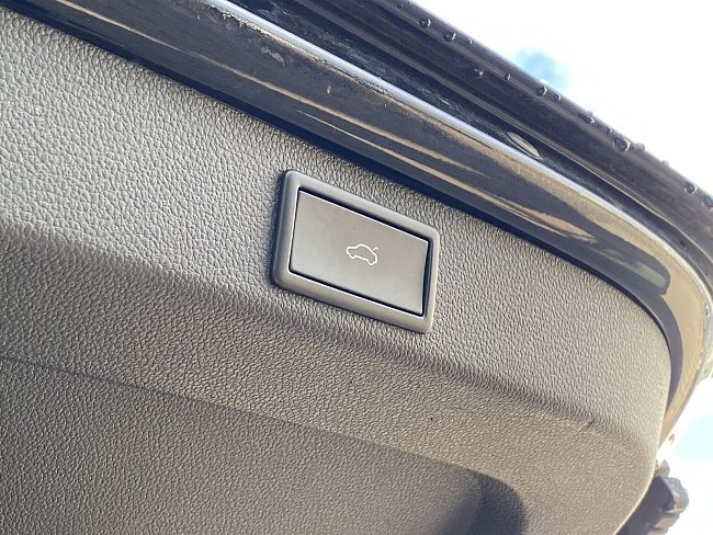 20199362.jpg