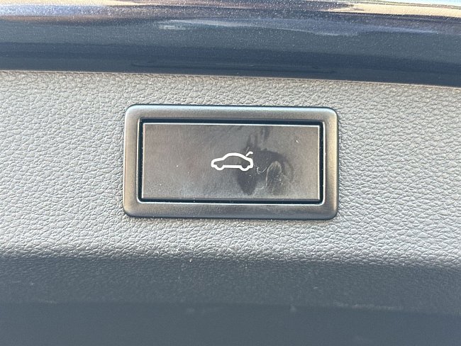 20199198.jpg