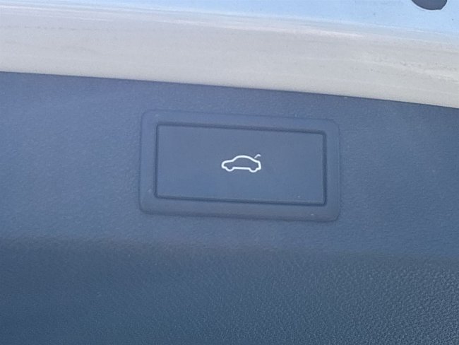 20199291.jpg