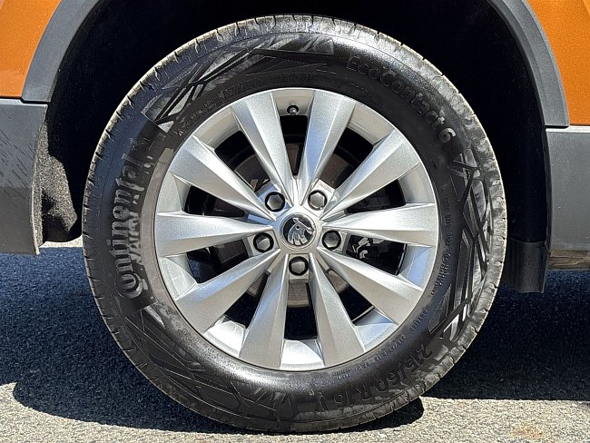 20199294.jpg