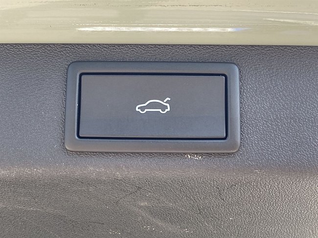 20199262.jpg